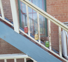 Load image into Gallery viewer, Sea Moss Gel