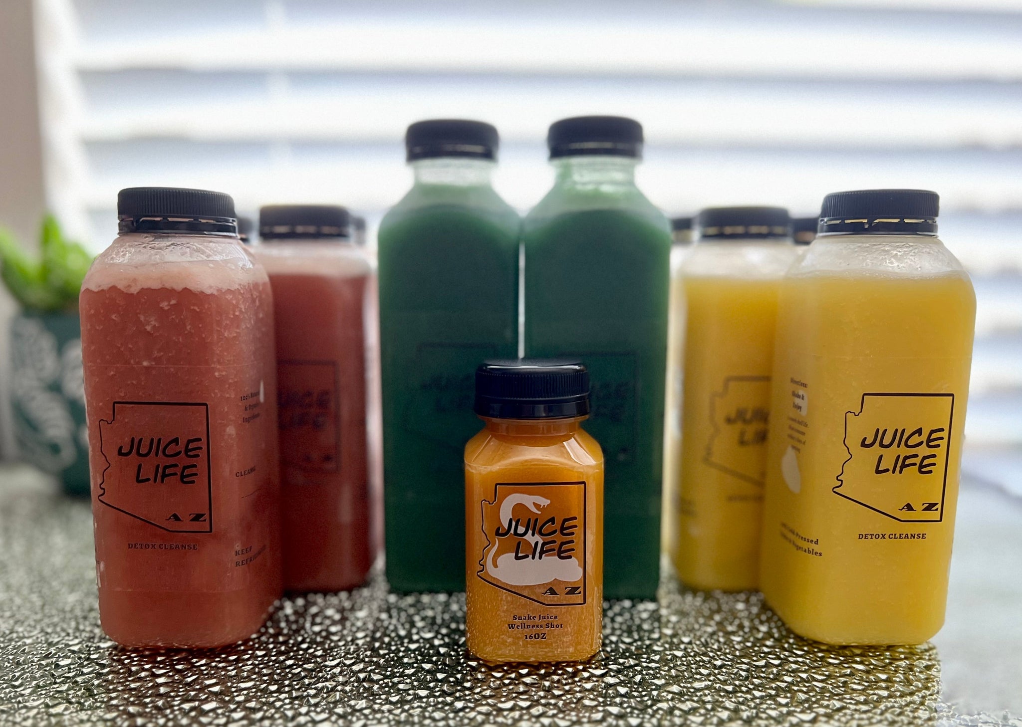 Sea Moss 3 Day Full Body Cleanse and Detox – Juice Life AZ