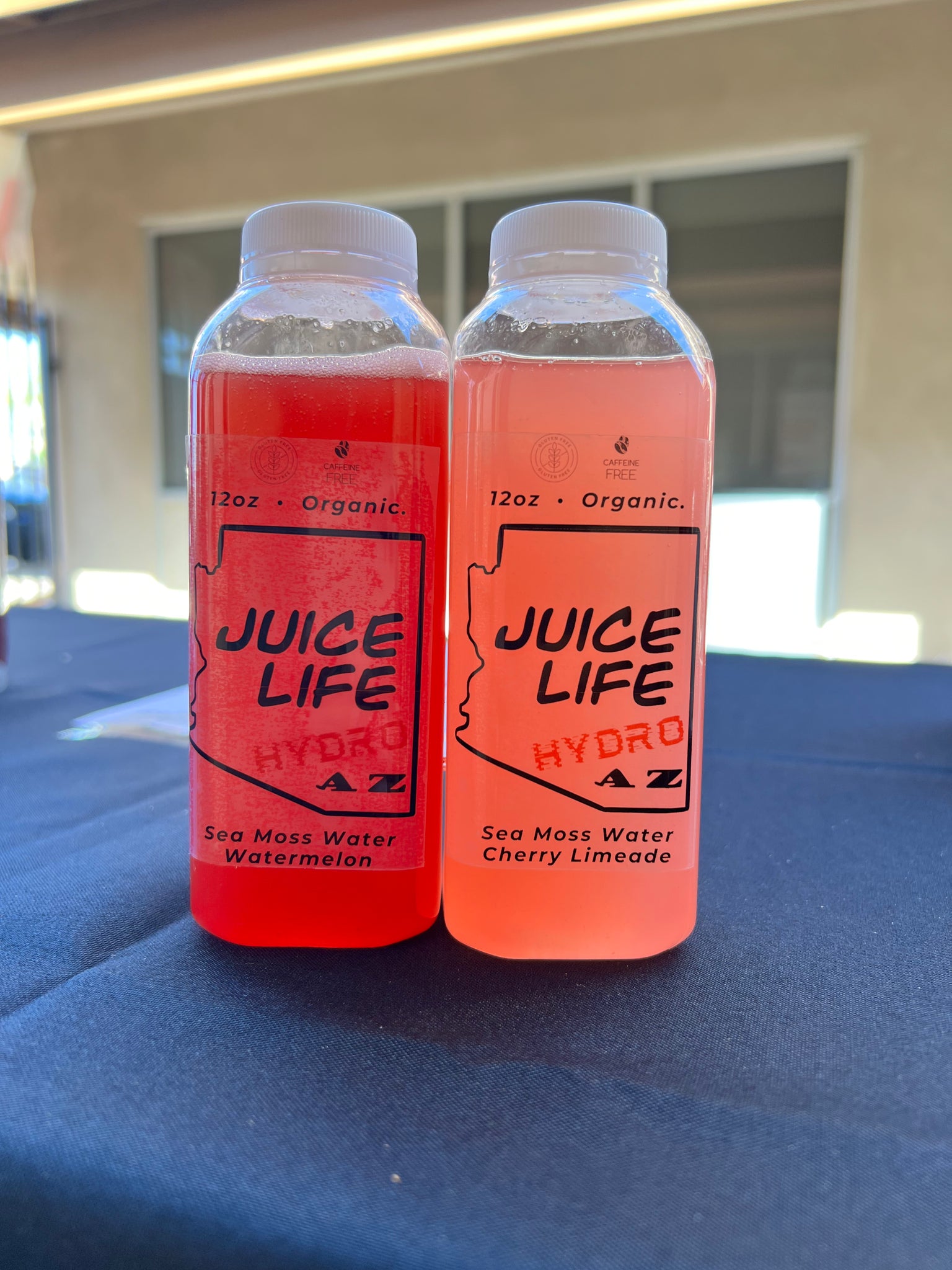 Hydro Waters – Juice Life AZ Hydro Waters – Juice Life AZ